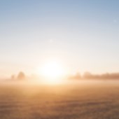 Fält där solen skiner 