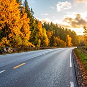 Höstväg
