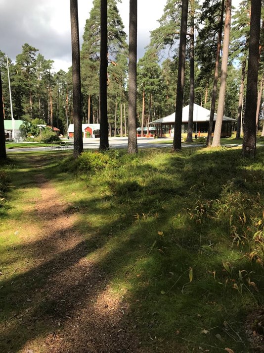 krokbornsparken höst.jpeg