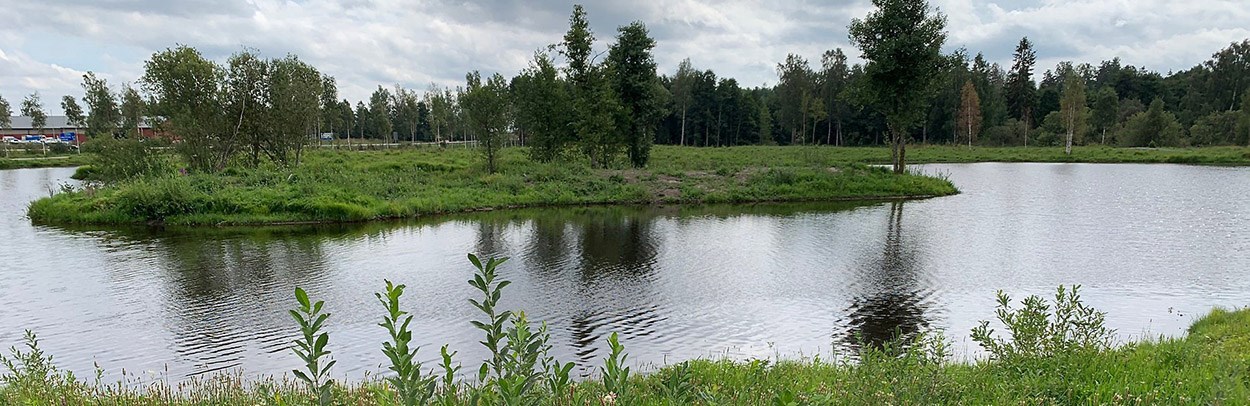 Lindbomossen - Foto Lars Ivar Jansson Webb.jpg