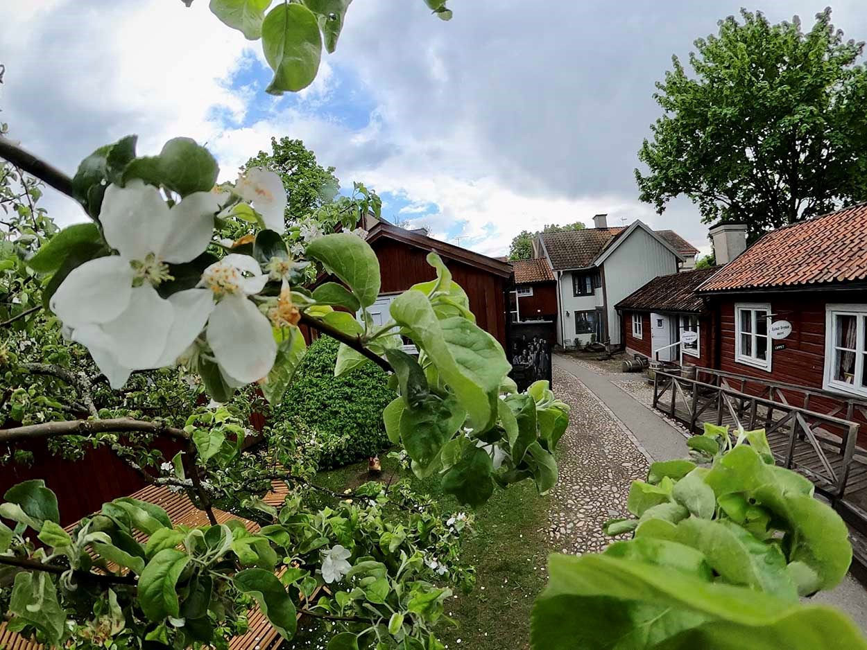 Wadk&ouml;ping f&ouml;rsommar.jpg